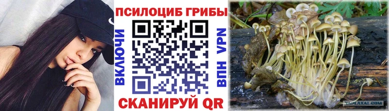 Галлюциногенные грибы ЛСД даркнет сайт нарко площадка официальный сайт Бобров